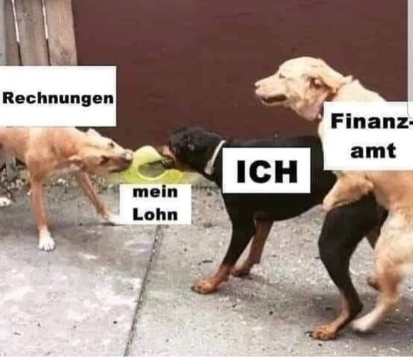 Wie du bald deine Steuererklärung machst – in 18 leider-ehrlichen Memes 😂\nJedes mal...