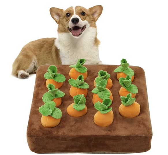 Weihnachtsgeschenke für Hunde