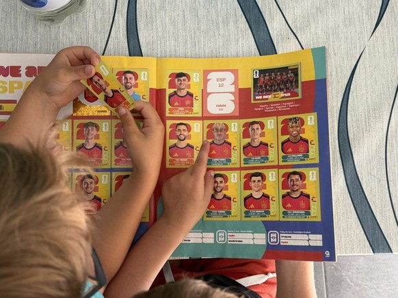 Panini WM 2026