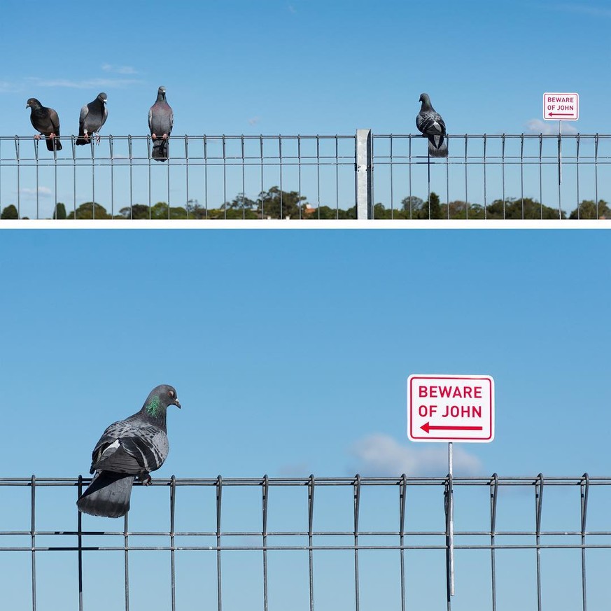 https://www.instagram.com/miguelmarquezoutside/ ironic street art sydney australien