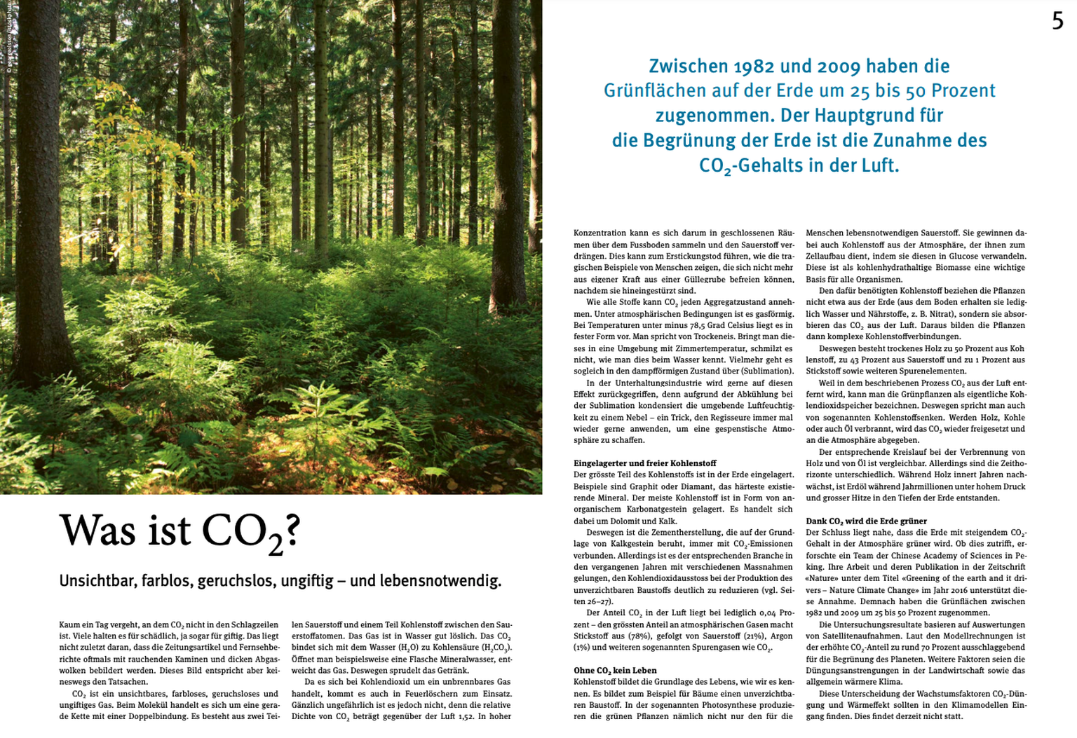 Der umstrittene Artikel aus «Avenue», Ausgabe 01/21.