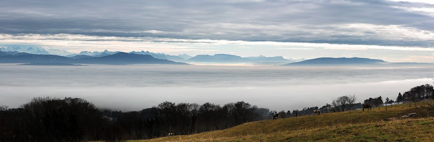 Vue depuis la Dôle sur le lac et les montagnes Rauzeit La Dole Herbstwanderungen Nebelmeer