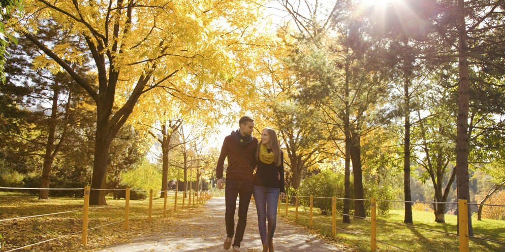 Gibt es in diesem Jahr doch noch den einen oder anderen Herbstspaziergang?