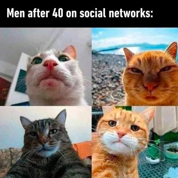 NГ¤chster Halt: PICDUMP! рџљЁ
.