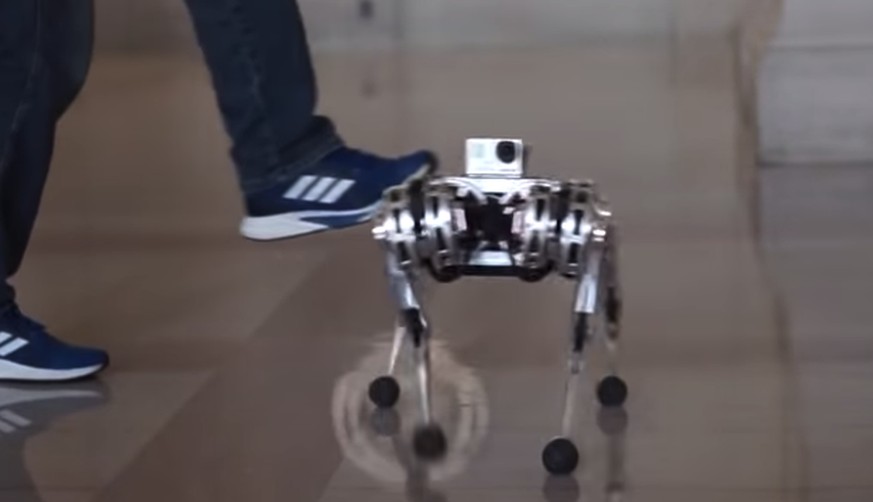Dieser Roboter ist beweglicher als du – «Mini Cheetah» schafft Rückwärtssalto