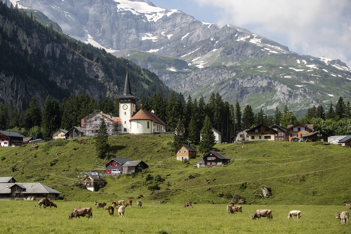 Rund 1'000 Kuehe grasen auf dem Urnerboden, der groessten Kuhalp der Schweiz, am Mittwoch, 10. Juli 2019, in Spiringen. Nach ca. vier Wochen ist das Gras auf dem Urnerboden jeweils abgeweidet und ...