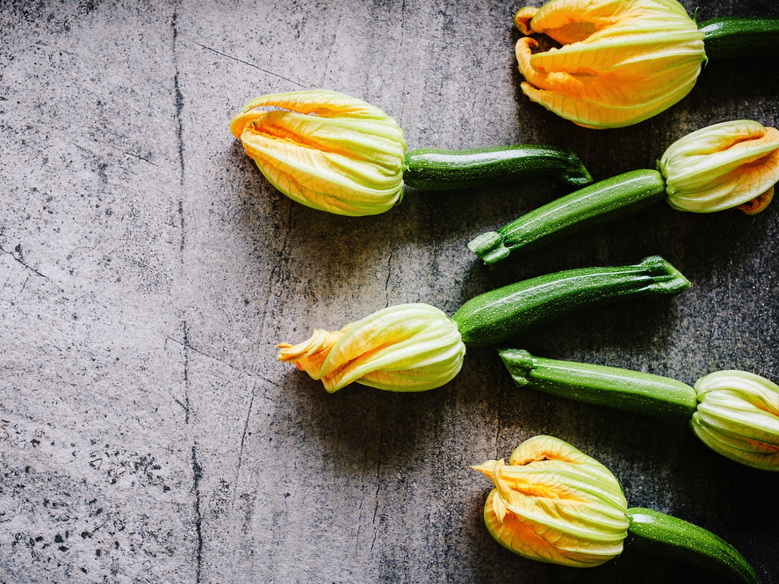 Zucchiniblüte gefüllt
Zucchini