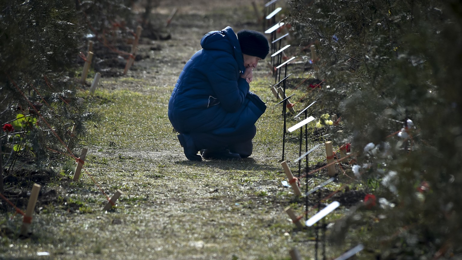 FILE - The mother of a Russian soldier who was killed in a military action in Ukraine, kneels near a planted tree in memory of her son at the Alley of Heroes in Sevastopol, Crimea, Saturday, Feb. 25,  ...