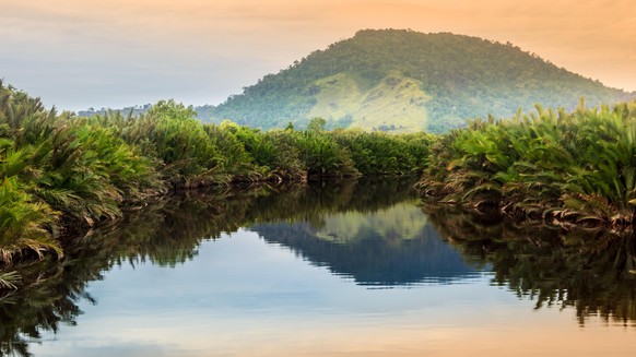 Der tropische Dschungel auf der Insel Borneo.