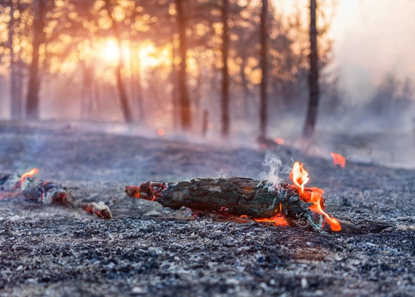 Waldbrand