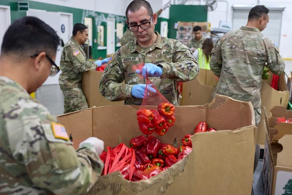 epaselect epa12494267 Members of the California Army National Guard pack bell peppers for distribution at the Los Angeles Regional Food Bank in Los Angeles, California, USA, 30 October 2025. Californi ...