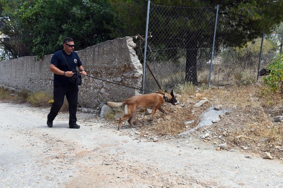 epa11396352 A rescuer with a trained dog takes part in the search for the missing British broadcaster Michael Mosley, in Simi island, Greece, 07 June 2024. Search efforts are in full progress, includi ...