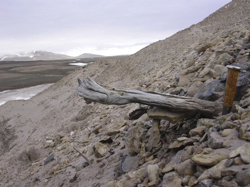 Researchers warn of permafrost toxins