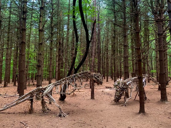 Falls du dich schon immer gefragt hast, was die Kindergartengruppe eigentlich im Wald so macht.