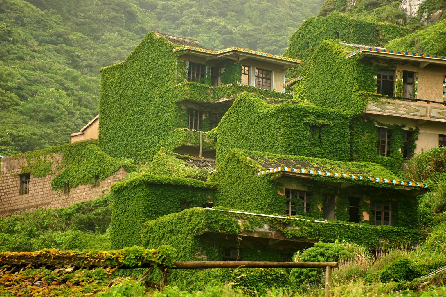 ZHOUSHAN, CHINA - MAY 31: (CHINA OUT) Houses are covered with creepers at a deserted village on Shengshan Island on May 31, 2015 in Zhoushan, China. (Photo by ChinaFotoPress/ChinaFotoPress via Getty I ...
