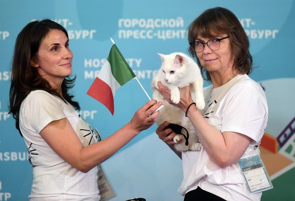 Hermitage Museum veterinarian Anna Kondratieva, left, and press-secretary of the Cats of Hermitage Museum Maria Khaltunen pose for pictures with Achill the cat, who lives in St Petersburg&#039;s Hermi ...