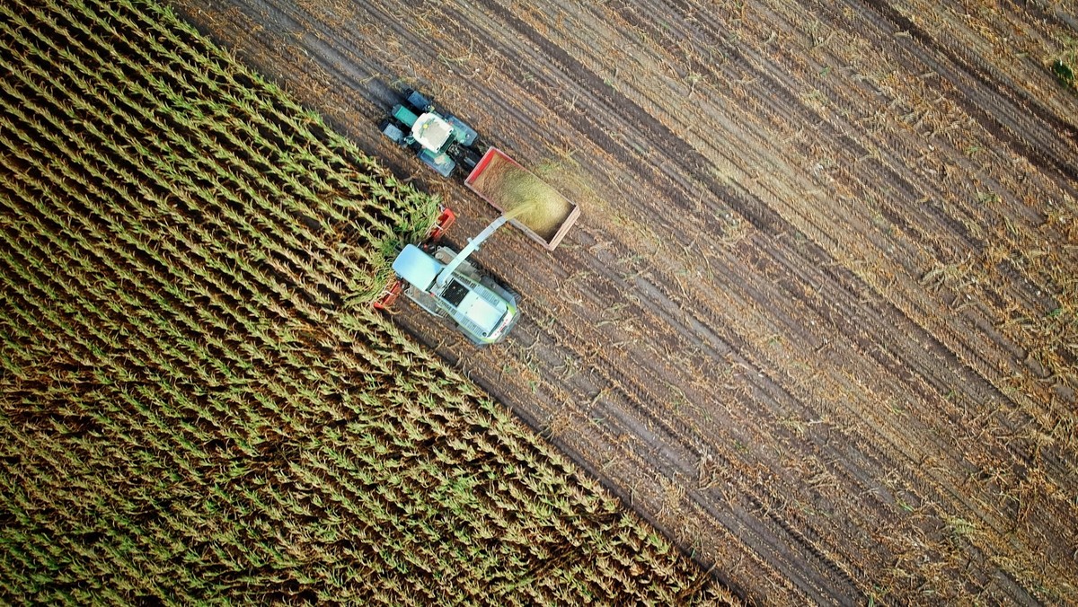 Landwirtschaft
