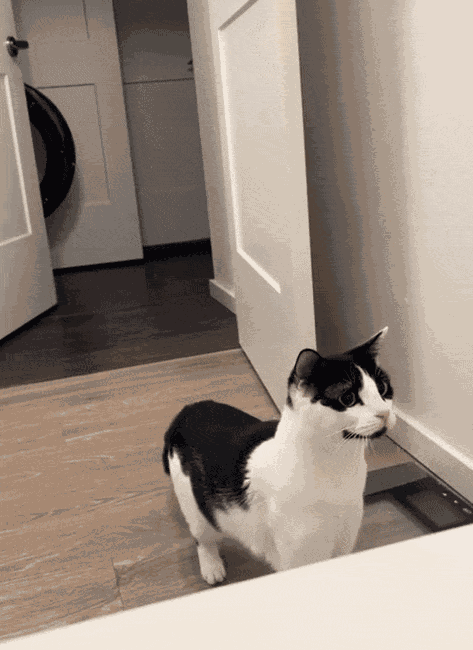 Animiertes GIF