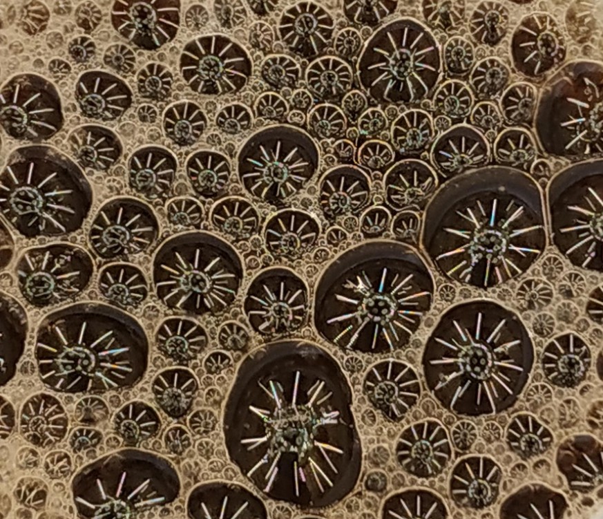 Accidentally created art