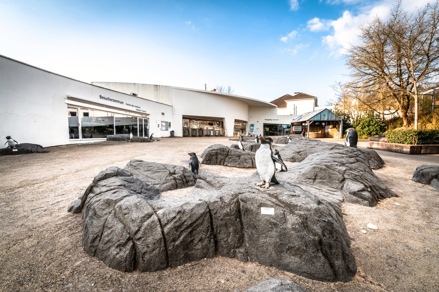 Die Pinguine erfreuen sich über mehr Auslauf.