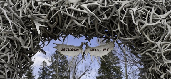 Hirschbogen, Jackson Hole Square