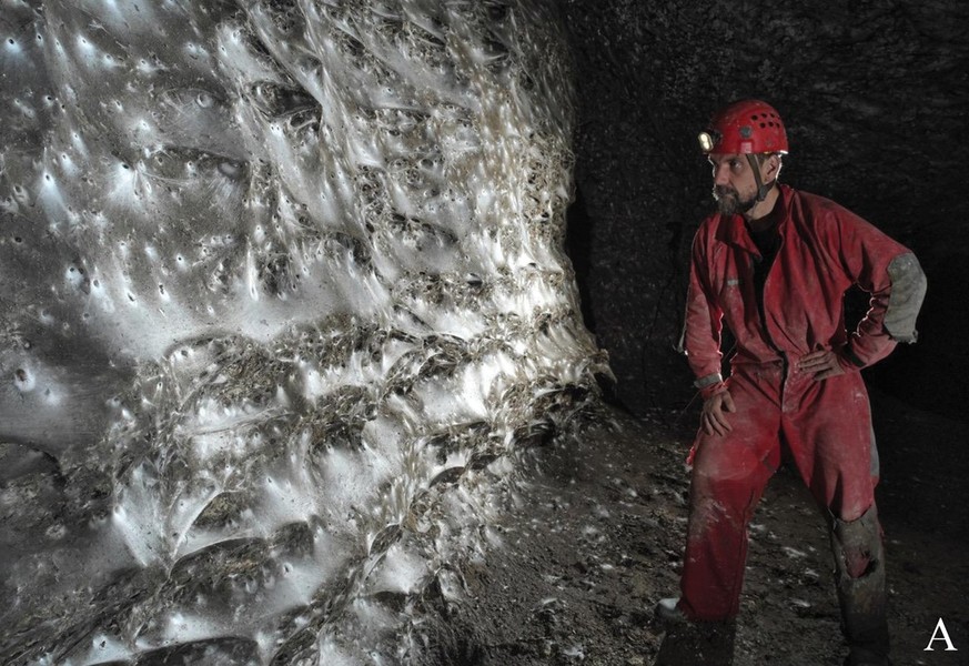 Grösstes Spinnennetz