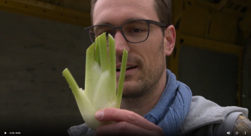 Dieser Fenchel entspricht nicht der Norm. Er ist zu klein für den Grosshandel.