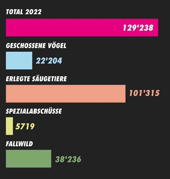 Statistics of animals shot