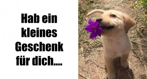In der heutigen Cute News lernt ihr etwas über Spanner und Spinner
.