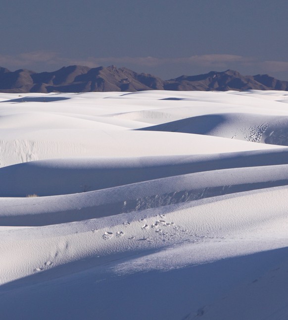 Wüstenlandschaft, Wüste, White Sands National Monument, New Mexico