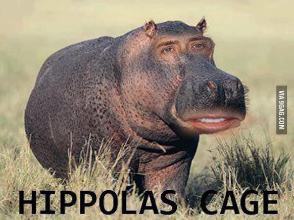 Lehn&#039; dich zurÃ¼ck und lass dich einfach fallen: Der PICDUMP ist da
Zu nicolas cage hab ich auch noch was ;)