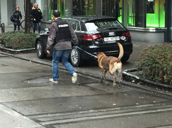 Spürhund kommt zum Einsatz.