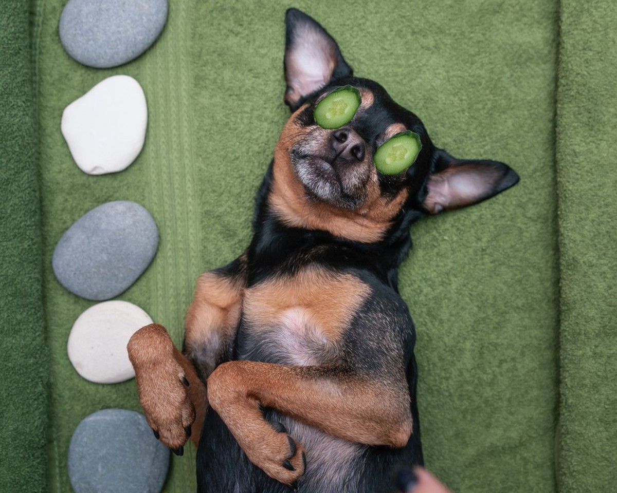 Wellness-Stockfotos Absurd