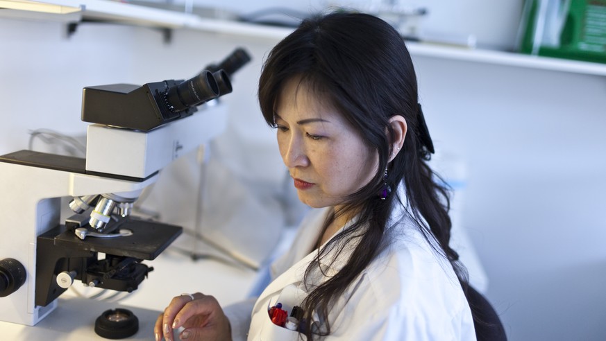 ZUR BEHANDLUNG DES AUSLAENDERGESETZES IM NATIONALRAT STELLEN WIR IHNEN AM MITTWOCH, 14. SEPTEMBER 2016, FOLGENDES ARCHIVBILD ZUR VERFUEGUNG - Thuy-Trang Ngoc Nguyen from Vietnam works in a laboratory  ...