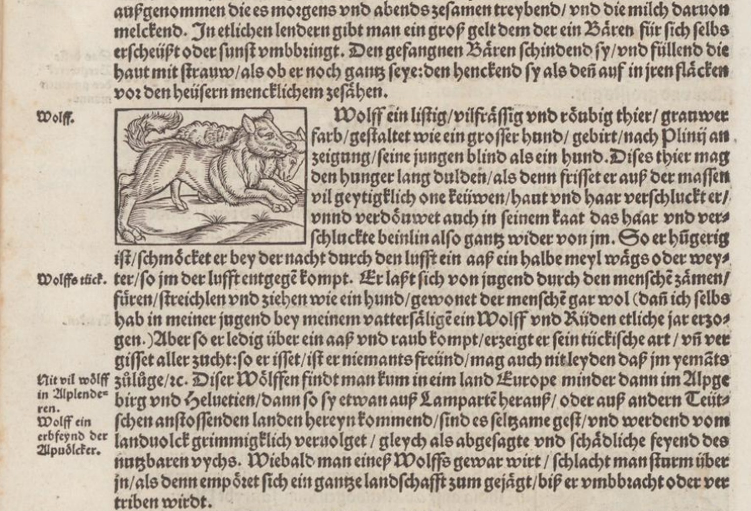 Ausschnitt aus Stumpfs Chronik (1548): «Gemeiner loblicher Eydgnoschafft Stetten, Landen und
Völckeren Chronick wirdiger Thaaten Beschreybung», 9. Buch «Von den Lepontiern» S. 286: «Wiebald man eines  ...