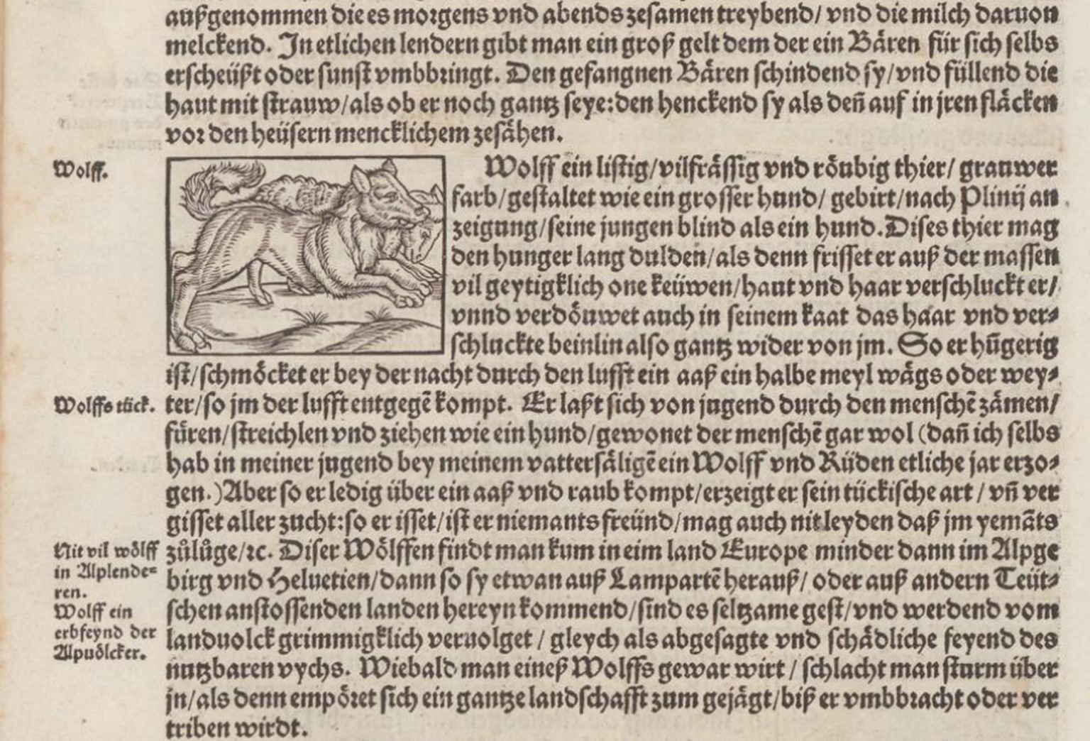 Ausschnitt aus Stumpfs Chronik (1548): «Gemeiner loblicher Eydgnoschafft Stetten, Landen und
Völckeren Chronick wirdiger Thaaten Beschreybung», 9. Buch «Von den Lepontiern» S. 286: «Wiebald man eines  ...