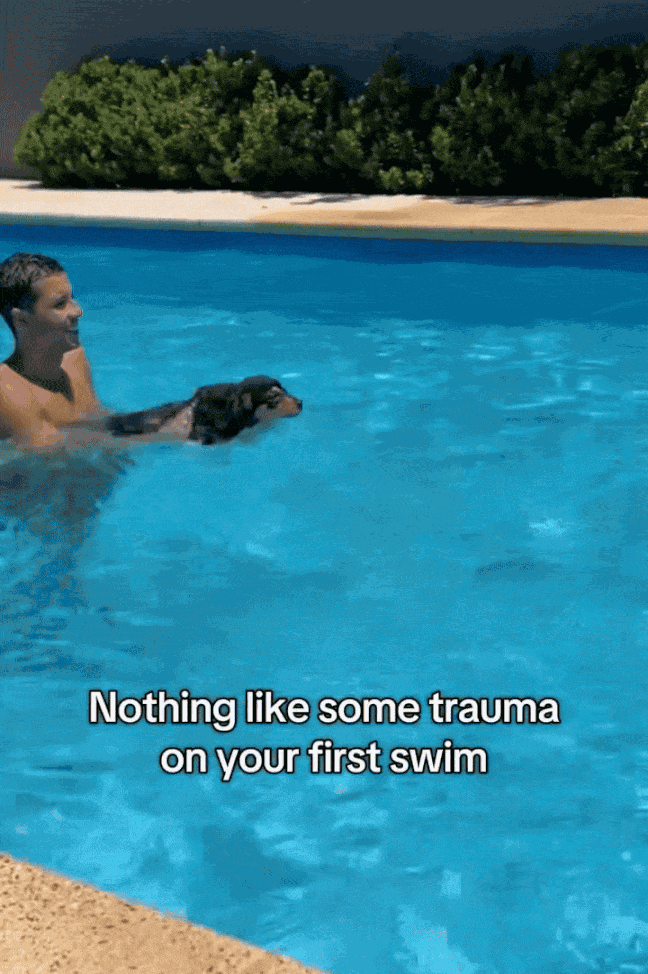 Animiertes GIF