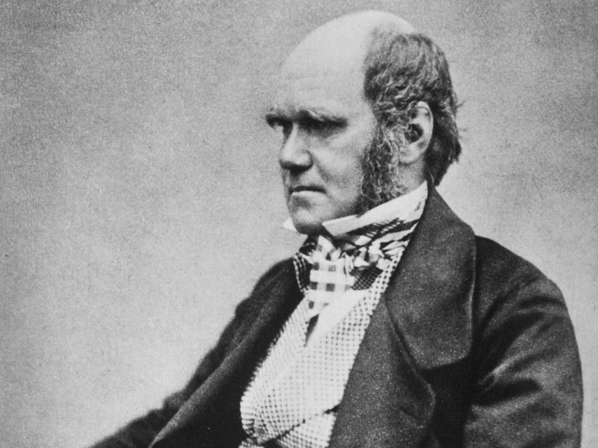 Der 51-jährige Charles Darwin. In diesem Alter veröffentlichte er seine Evolutionstheorie.