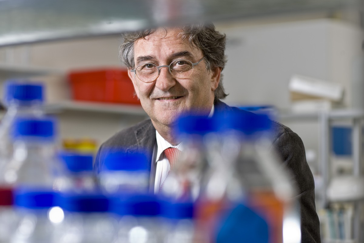 Portrait von Beda M. Stadler, Professor fuer Immunologie an der Universitaet Bern, aufgenommen am 12. Mai 2009 am Institut fuer Immunologie des Inselspitals Bern, Schweiz. (KEYSTONE/Gaetan Bally)