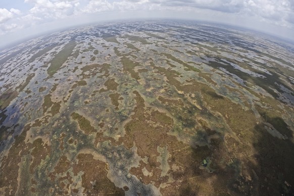 Florida&#039;s Everglades are seen from the air during a flight donated by LightHawk, Friday, May 17, 2024. (AP Photo/Rebecca Blackwell)