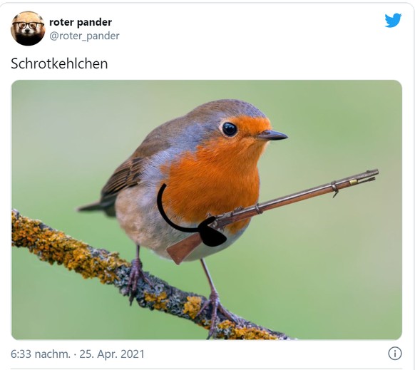 Nein, das ist kein Strichcode, das ist der PICUDMP ЁЯЩГ\nhier das etwas amerikanisch angehauchte Schrotkehlchen