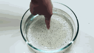 Animiertes GIF
