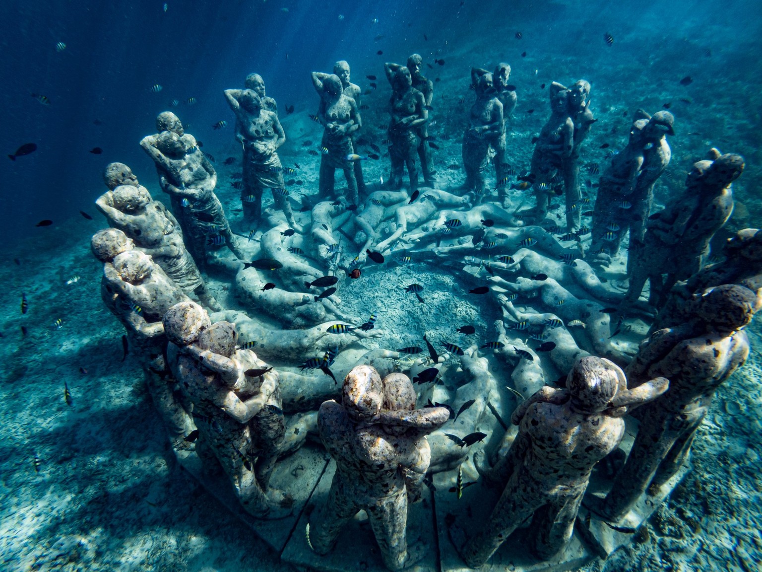 Nest Unterwasserskulptur Indonesien