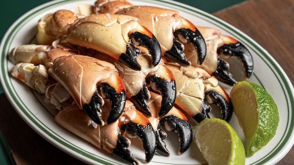 La pince de crabe de pierre de Floride. Miam ou pas?