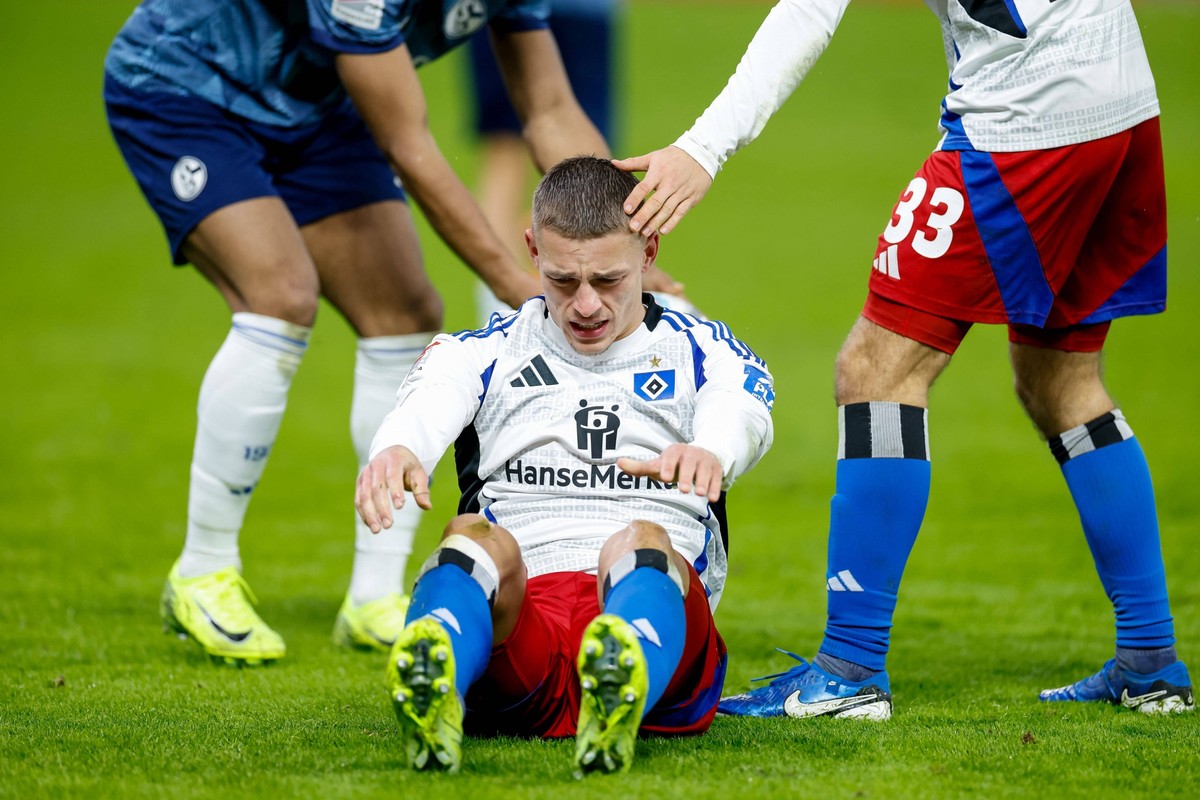 Hamburg, 23. November 2024 - Fu�ball, 2. Bundesliga 2024/25, Hamburger SV - FC Schalke 04: Miro Muheim Hamburger SV, 28 DFL REGULATIONS PROHIBIT ANY USE OF PHOTOGRAPHS AS IMAGE SEQUENCES AND/OR QUASI- ...