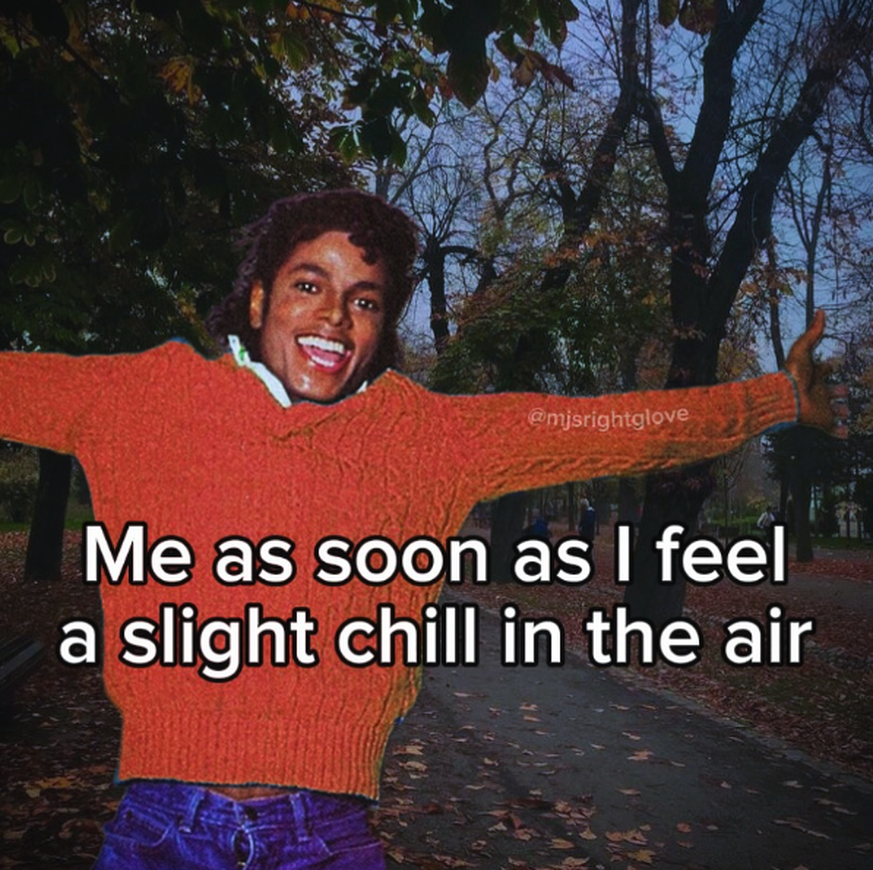 Herbst Meme Jackson Kleider

https://www.instagram.com/p/DdS38ggNstw/