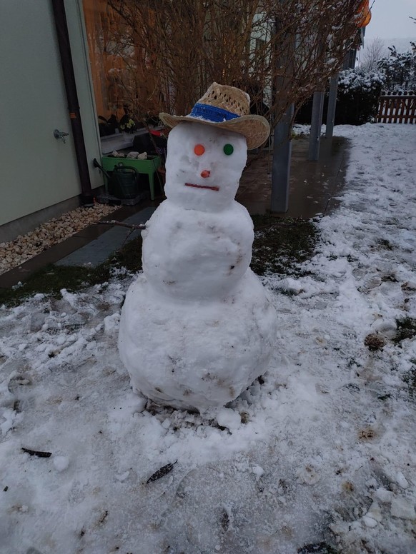 tel: 
email: 
Unsere Kids in der Aglo von Basel hatten riesen Freude am Schneemann machen.

Von: