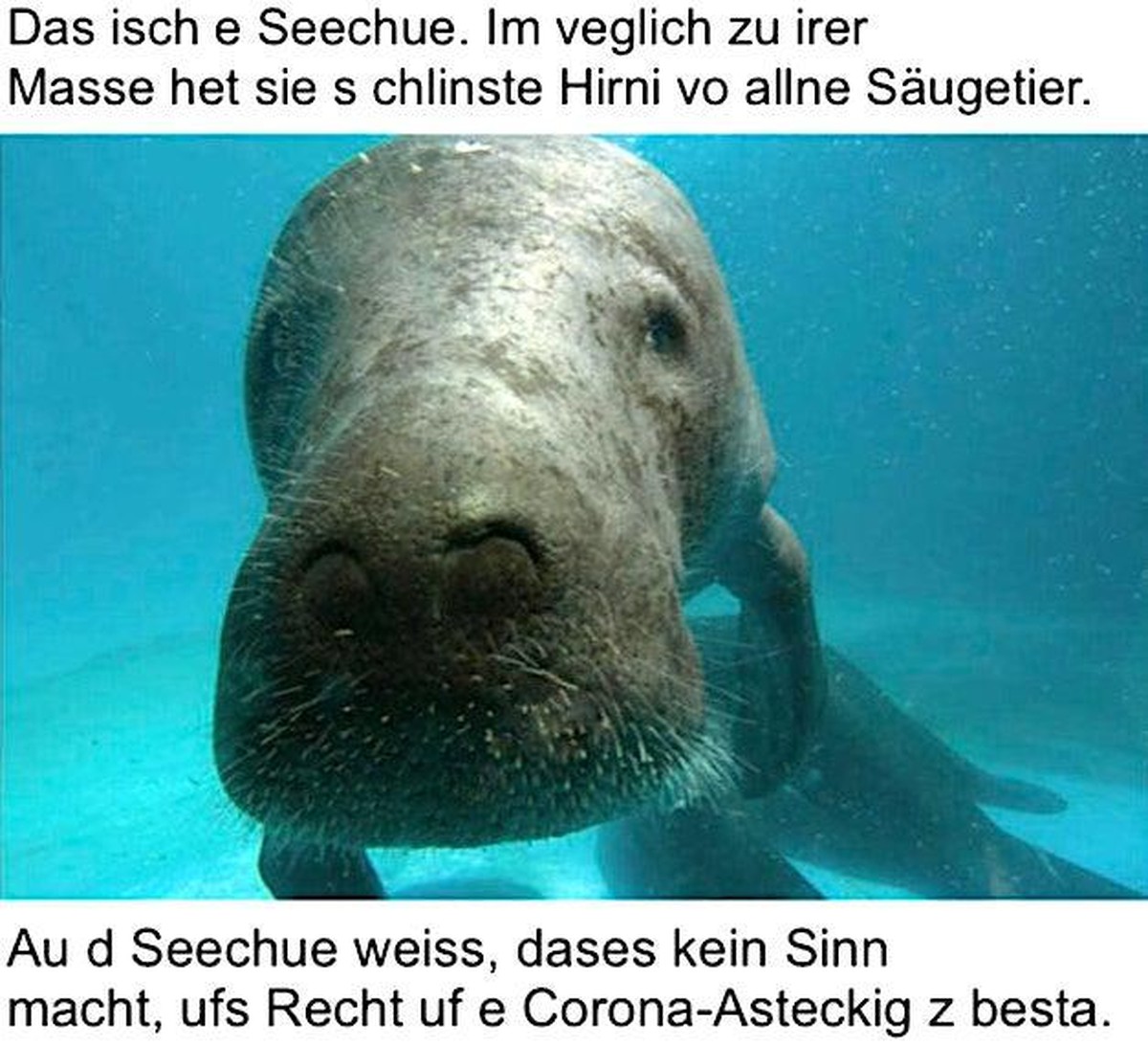 Was mag das wohl sein? ЁЯдФ LG Picdump\nDas ist doch mal ein Argument! (ЁЯЗиЁЯЗнreddit )
