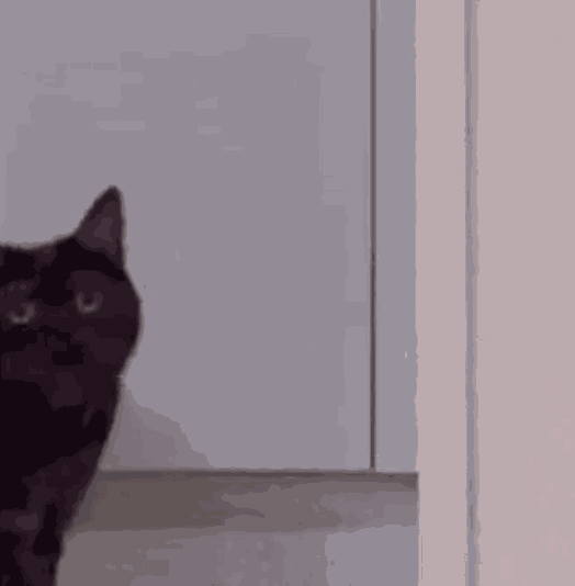 Animiertes GIF