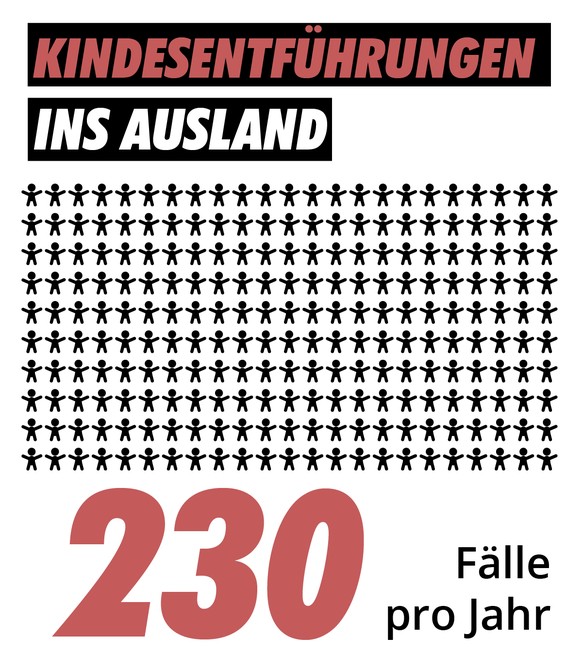 Kindesentführung Infografiken Camille